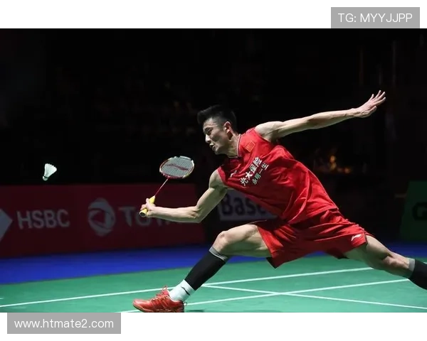 谌龙退役后天天五点起床遛狗，这自律谁懂啊